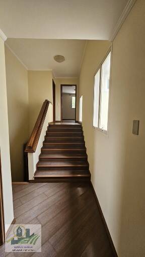 Casa, 5 quartos, 400 m² - Foto 5