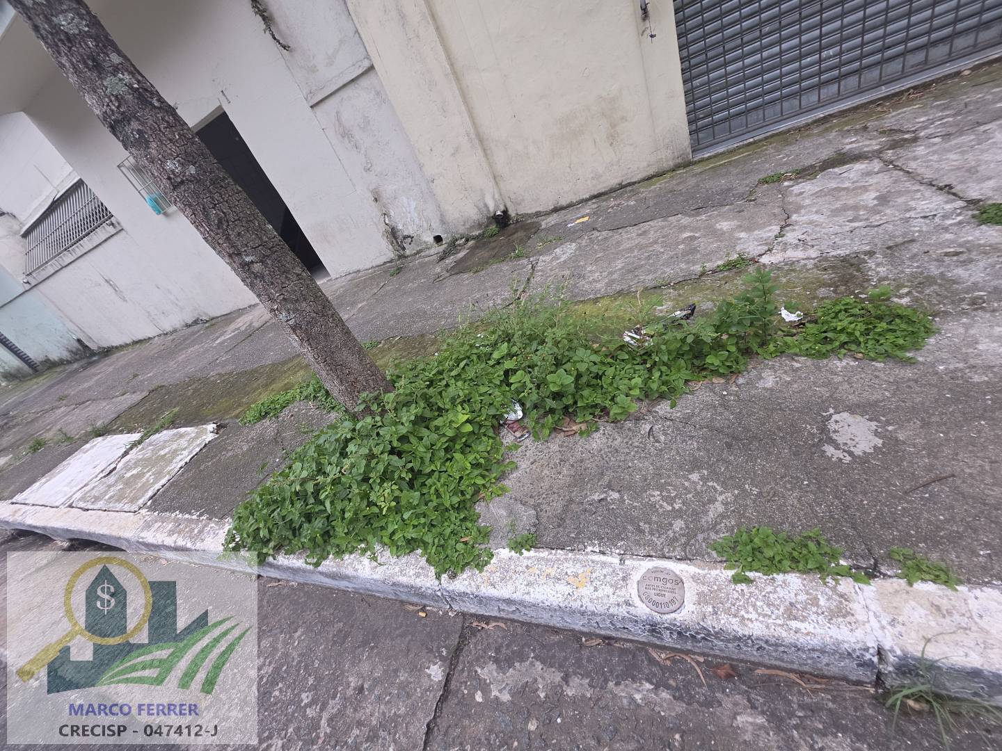 Sala-Conjunto - Foto 21